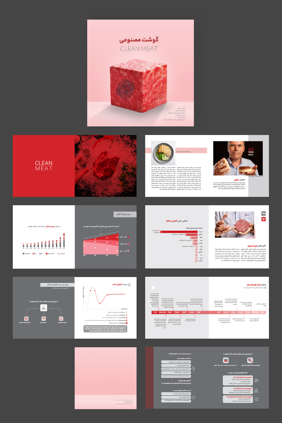 clean meat layout design by mohsen hashemi